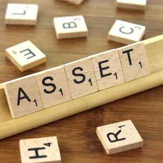 Input Aset